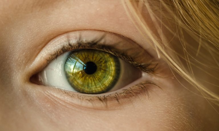 Oczy to ekstrawagancki organ. To dokładnie dzięki nim odczuwamy.